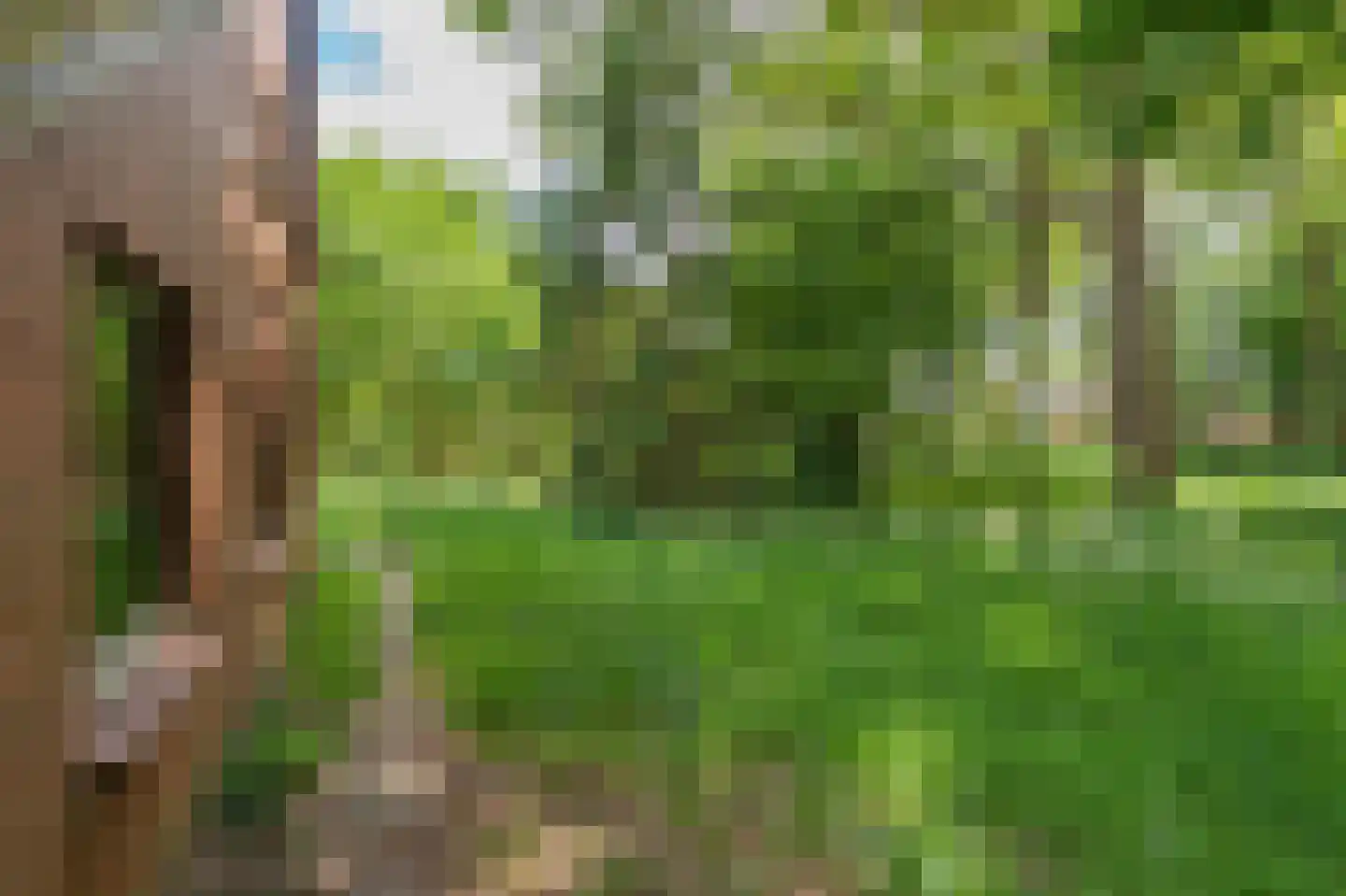 Leemdobben 26 Sellingen thumbnail 14