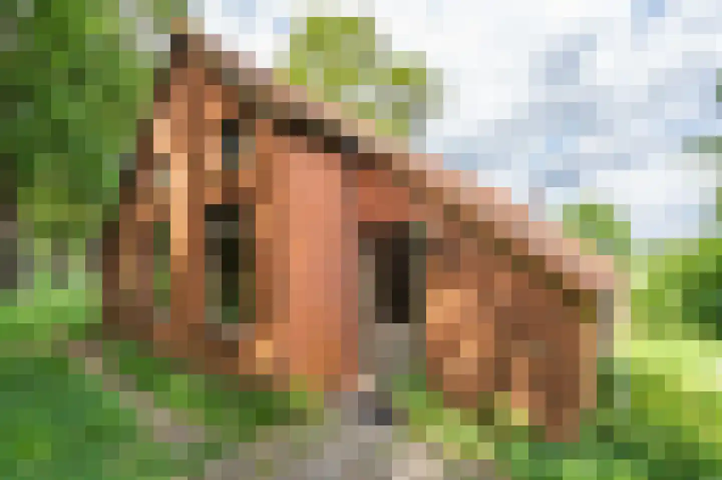 Leemdobben 26 Sellingen thumbnail 16