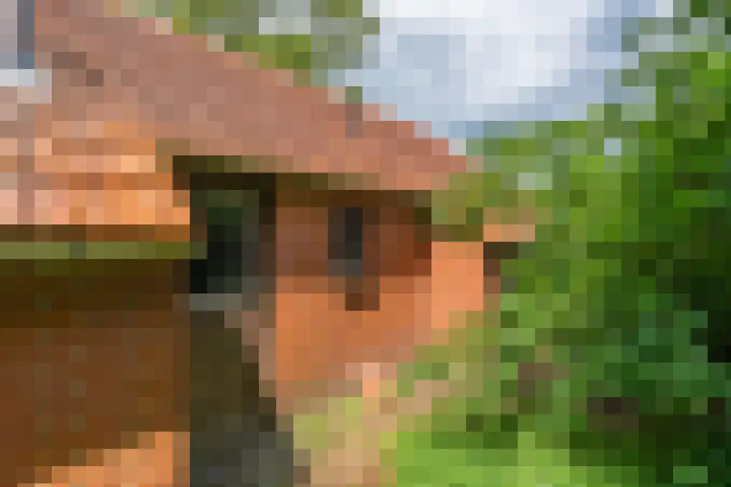 Leemdobben 26 Sellingen thumbnail 17
