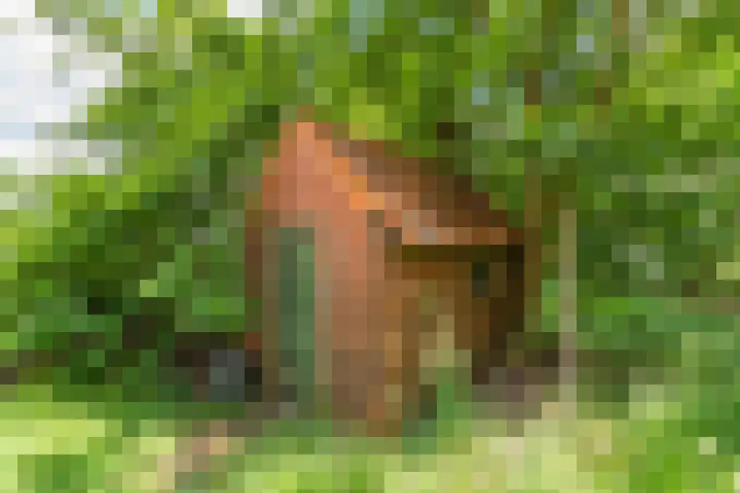 Leemdobben 26 Sellingen thumbnail 18