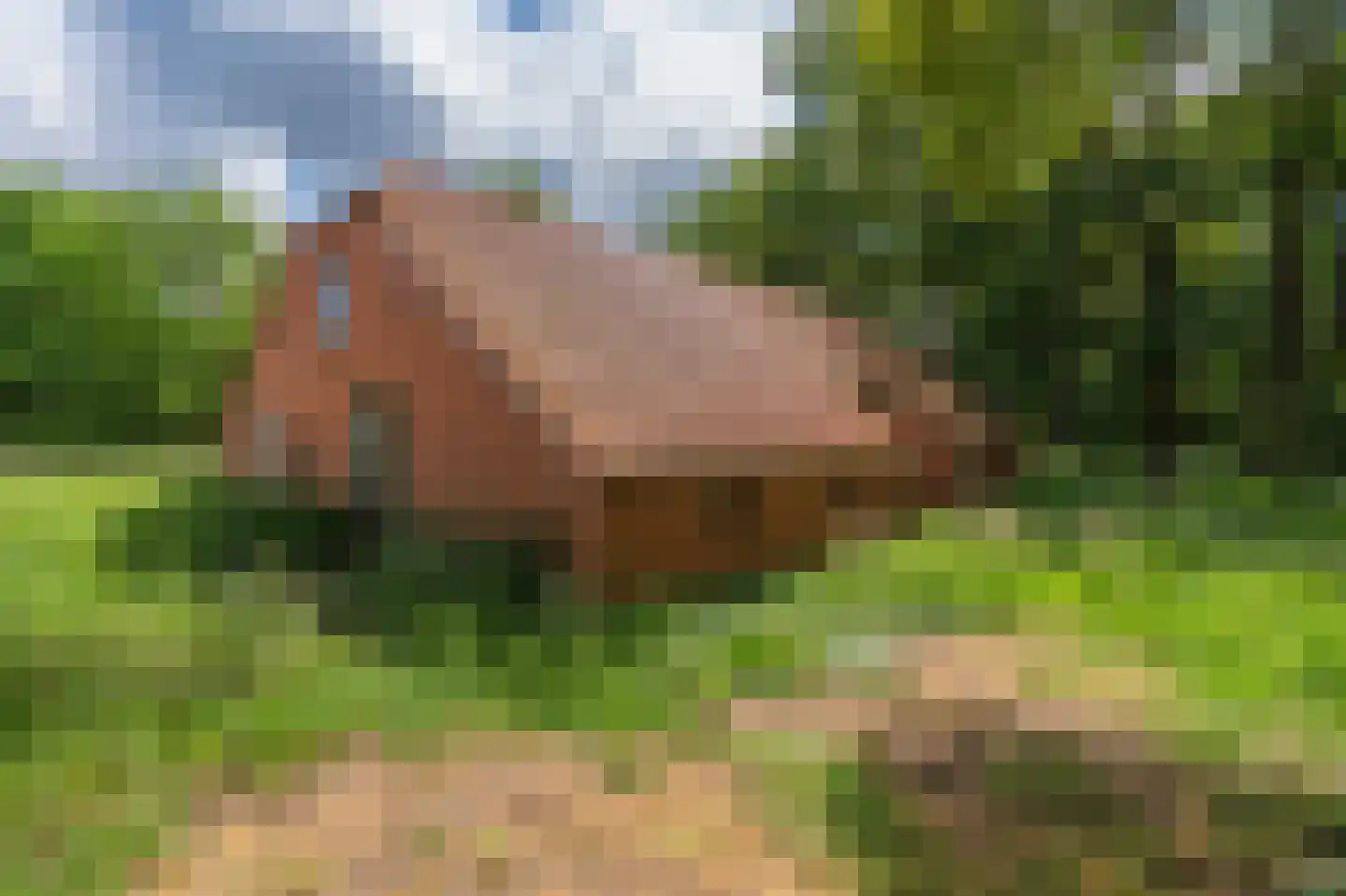 Leemdobben 26 Sellingen thumbnail 22