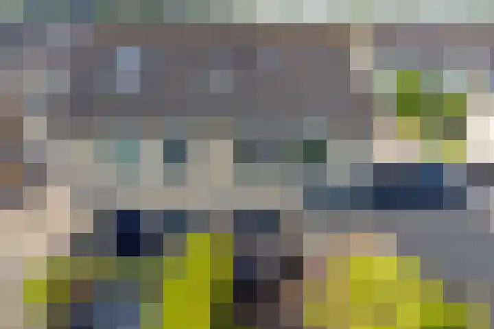 Leemhamel 40 Assen thumbnail 34