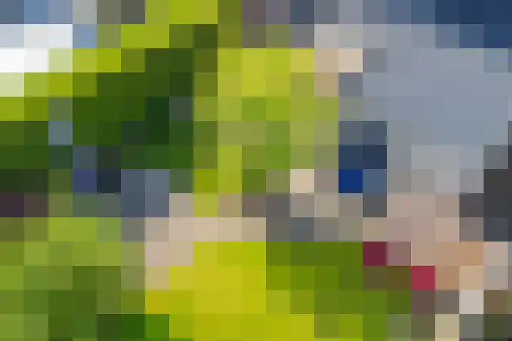 Leemhamel 40 Assen thumbnail 35