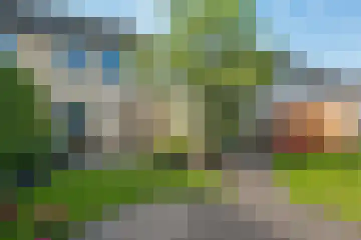 Leemhamel 40 Assen thumbnail 38
