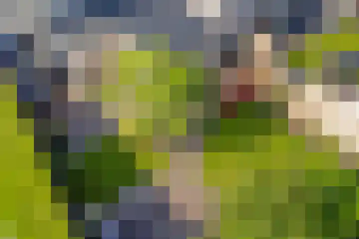 Leemhamel 40 Assen thumbnail 4