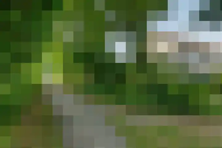 Leemhamel 40 Assen thumbnail 43