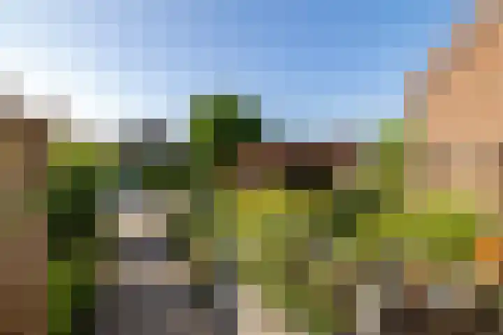 Leemhof 12 Nieuw-Amsterdam thumbnail 4