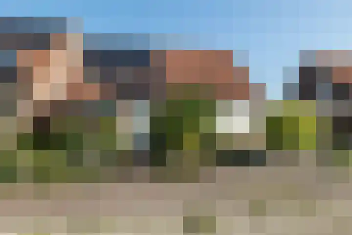 Leemhof 12 Nieuw-Amsterdam thumbnail 43