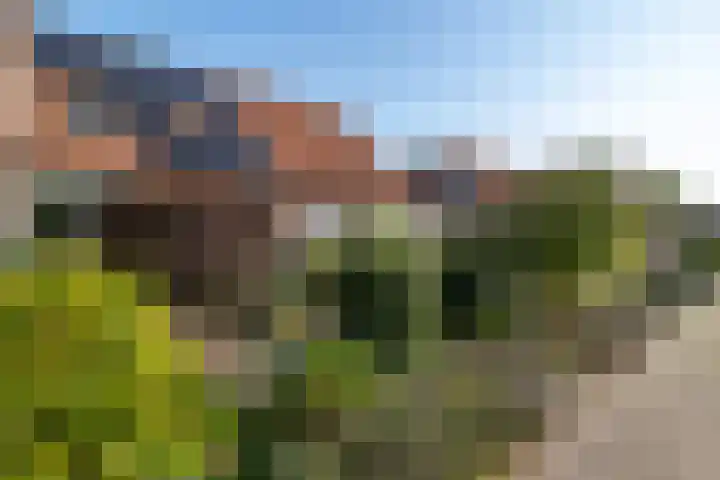Leemhof 12 Nieuw-Amsterdam thumbnail 6