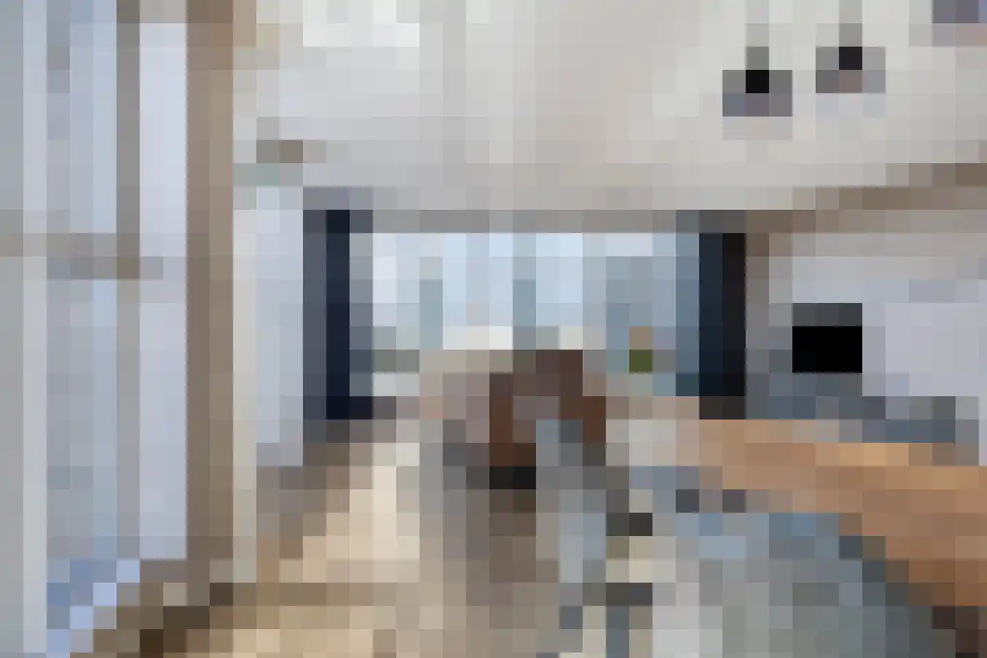 Leemhorststraat 121 B Hoorn thumbnail 15