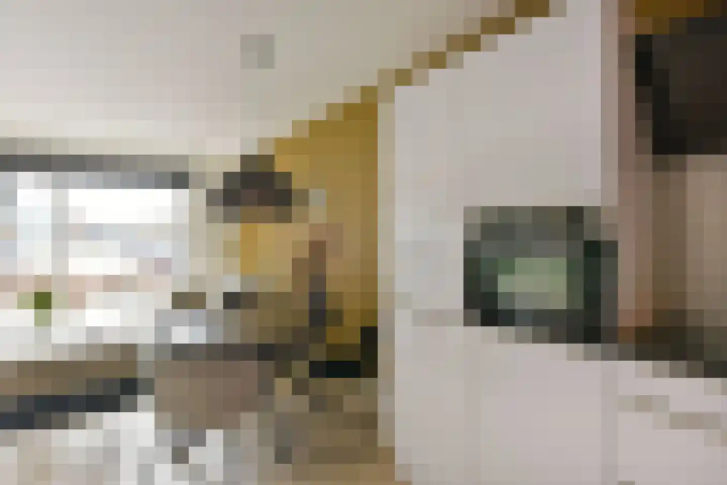 Leemhorststraat 2 Hoorn thumbnail 10