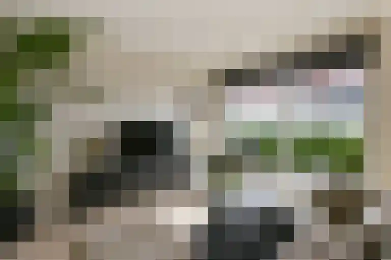 Leemhorststraat 2 Hoorn thumbnail 10