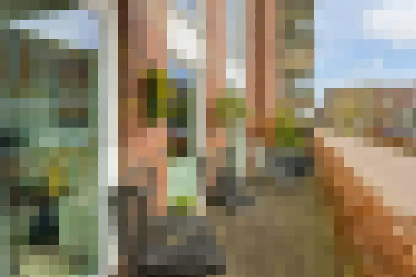 Leemhorststraat 2 Hoorn thumbnail 13