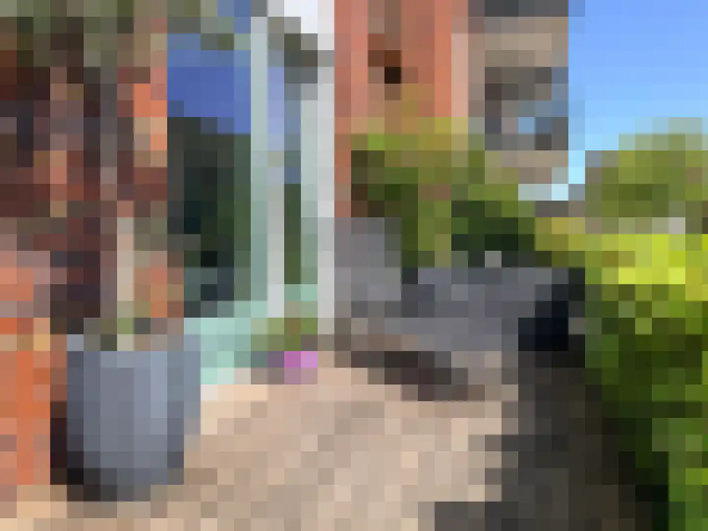 Leemhorststraat 2 Hoorn thumbnail 13