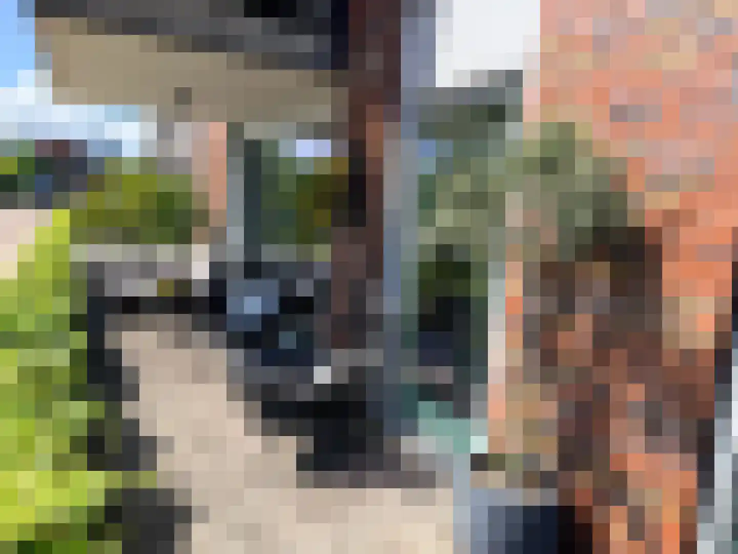 Leemhorststraat 2 Hoorn thumbnail 16