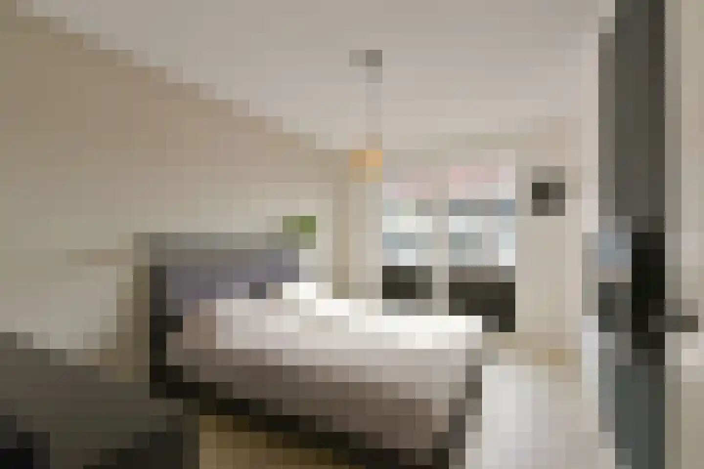 Leemhorststraat 2 Hoorn thumbnail 19