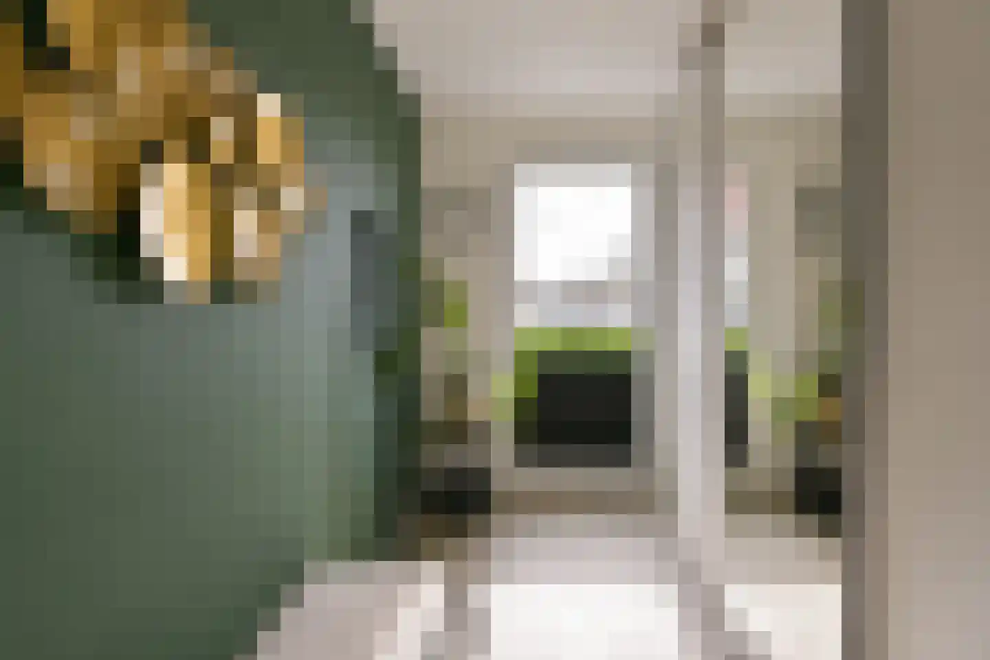 Leemhorststraat 2 Hoorn thumbnail 20