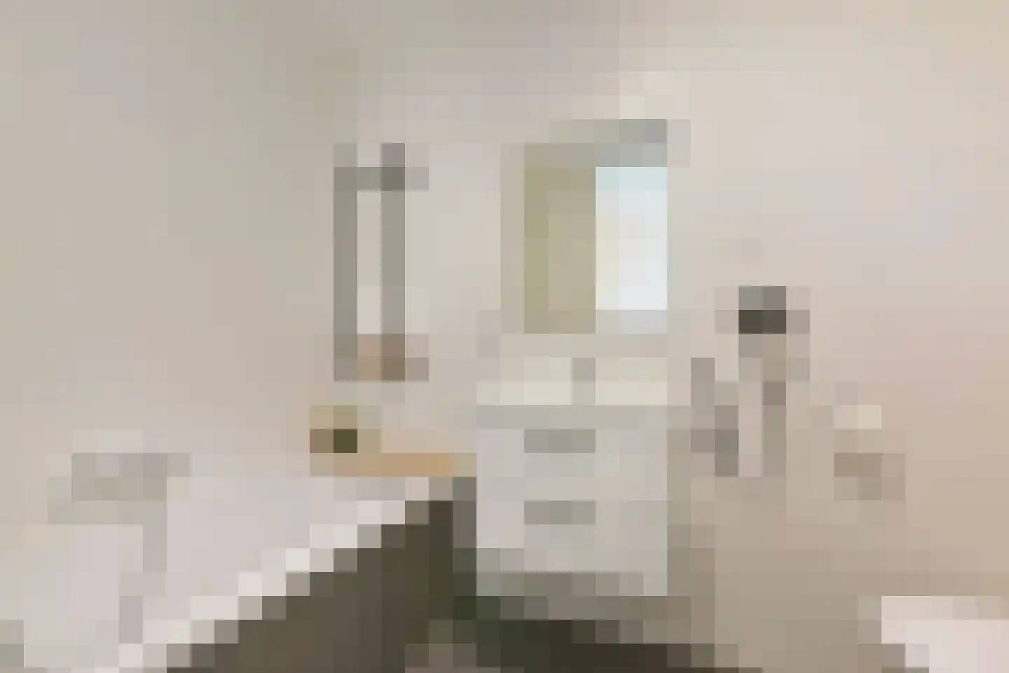 Leemhorststraat 2 Hoorn thumbnail 23