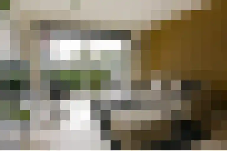 Leemhorststraat 2 Hoorn thumbnail 4