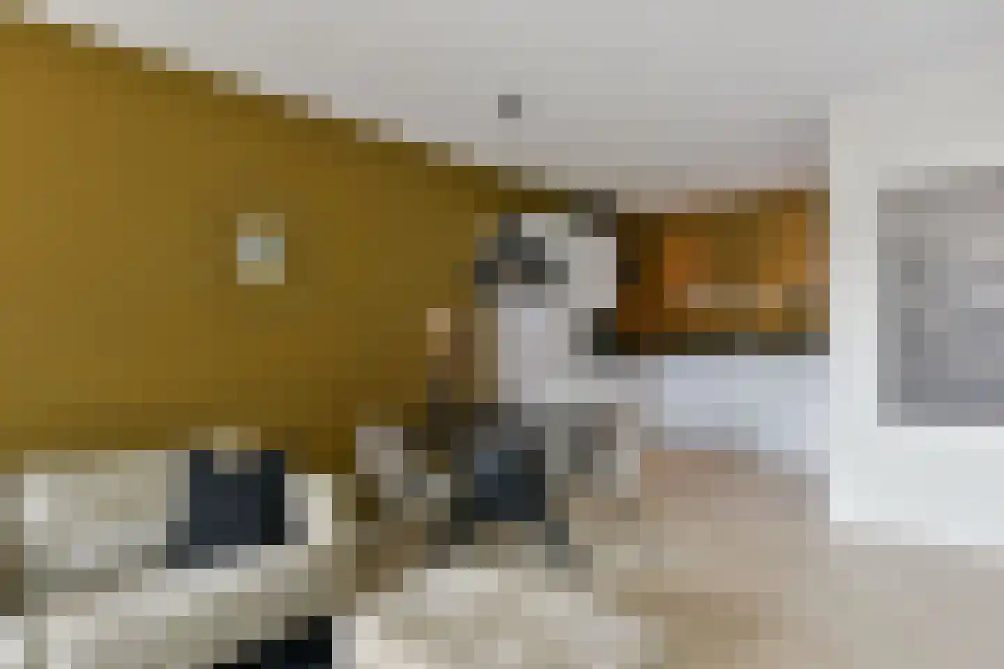Leemhorststraat 2 Hoorn thumbnail 5