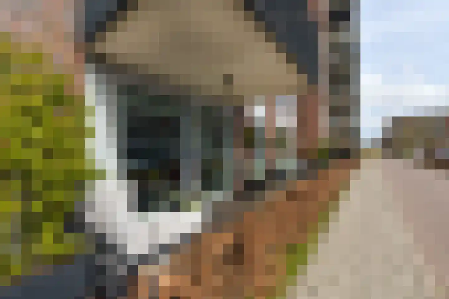 Leemhorststraat 2 Hoorn thumbnail 7