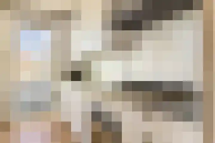Leemkoelen 31 Emmen thumbnail 10