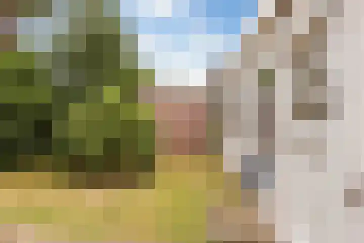 Leemkoelen 31 Emmen thumbnail 10
