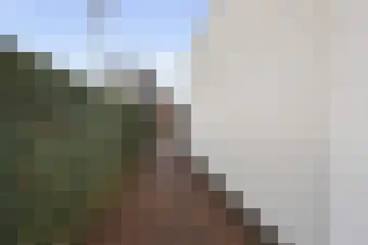 Leemkoelen 31 Emmen thumbnail 18