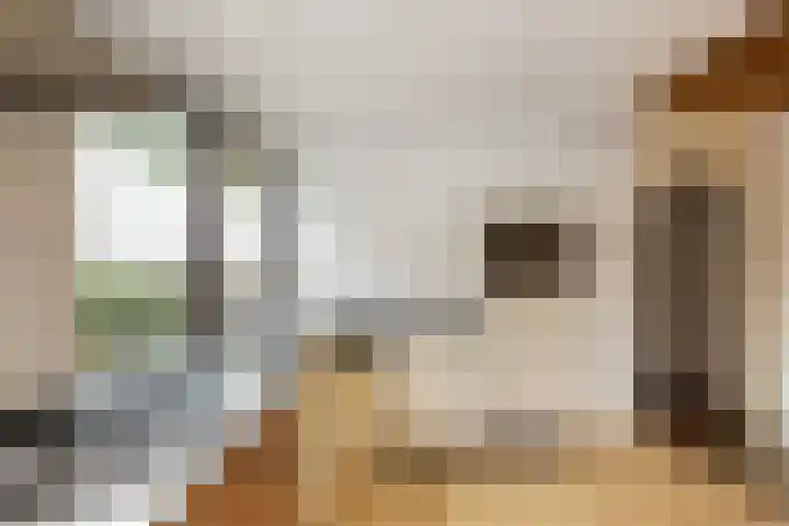 Leemkoelen 31 Emmen thumbnail 18