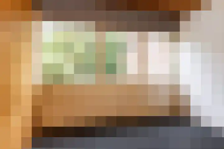 Leemkoelen 31 Emmen thumbnail 27