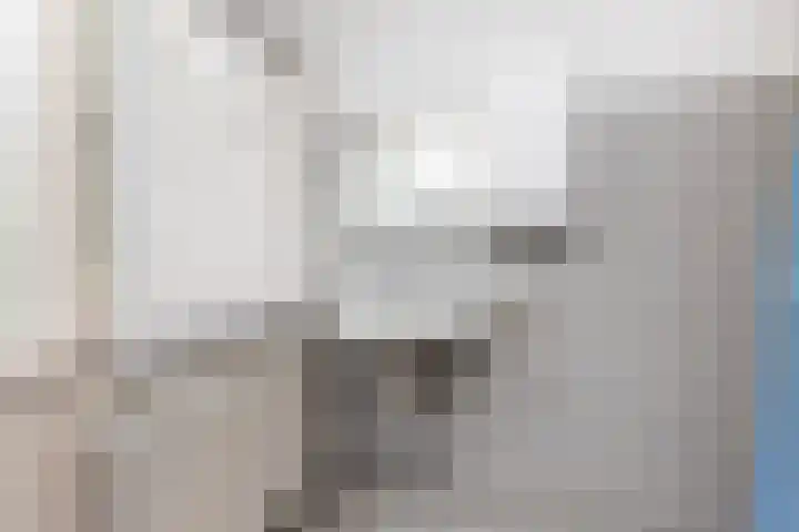 Leemkoelen 31 Emmen thumbnail 32