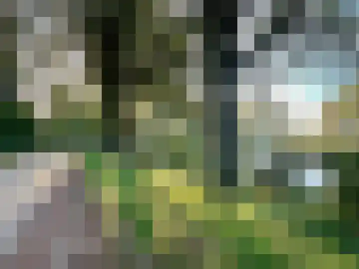 Leemkoelen 31 Emmen thumbnail 34