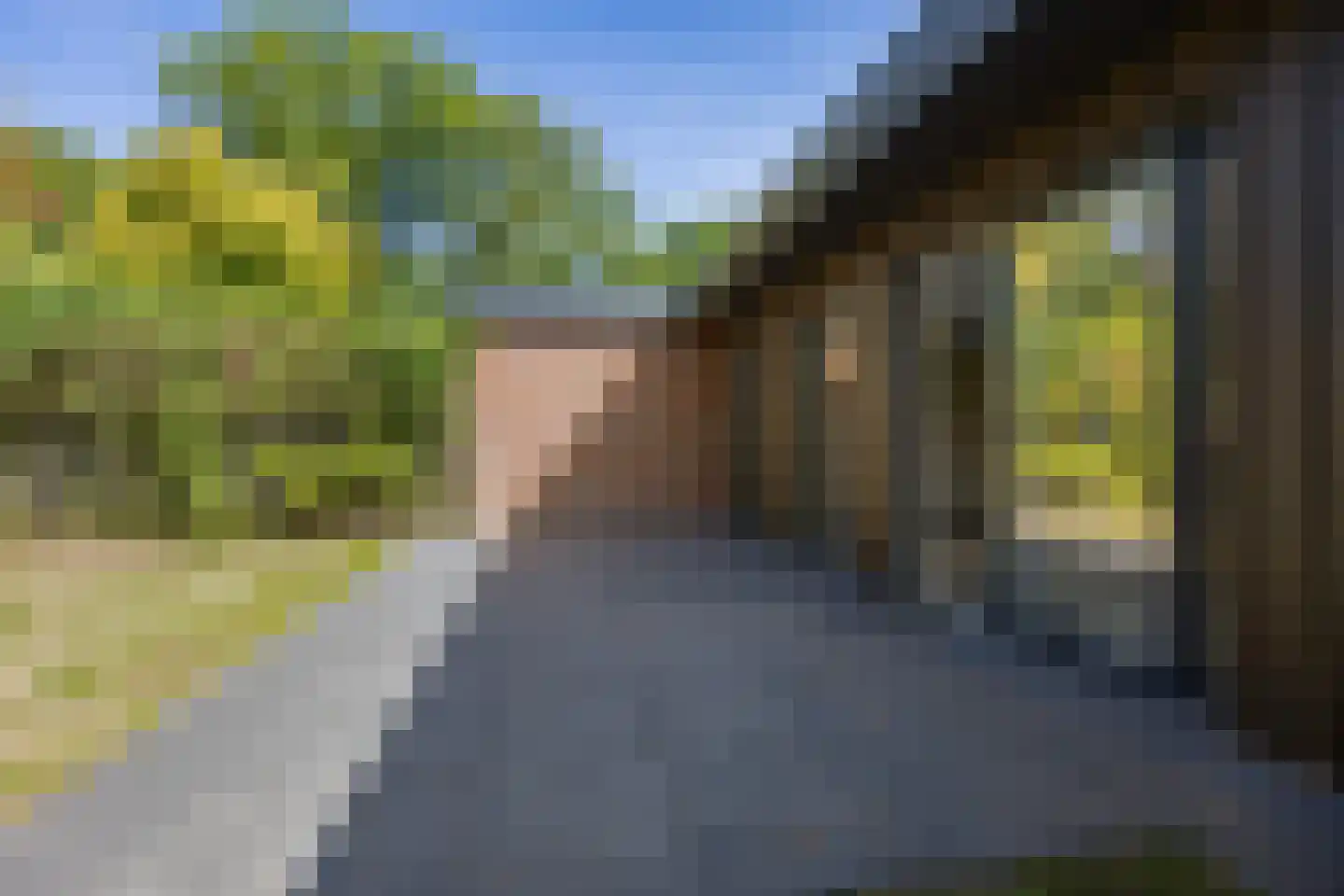 Leemkoelen 31 Emmen thumbnail 35