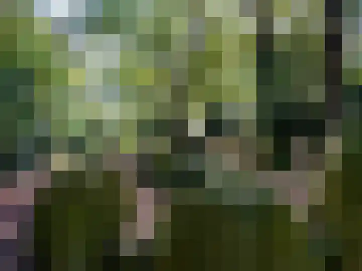 Leemkoelen 31 Emmen thumbnail 36