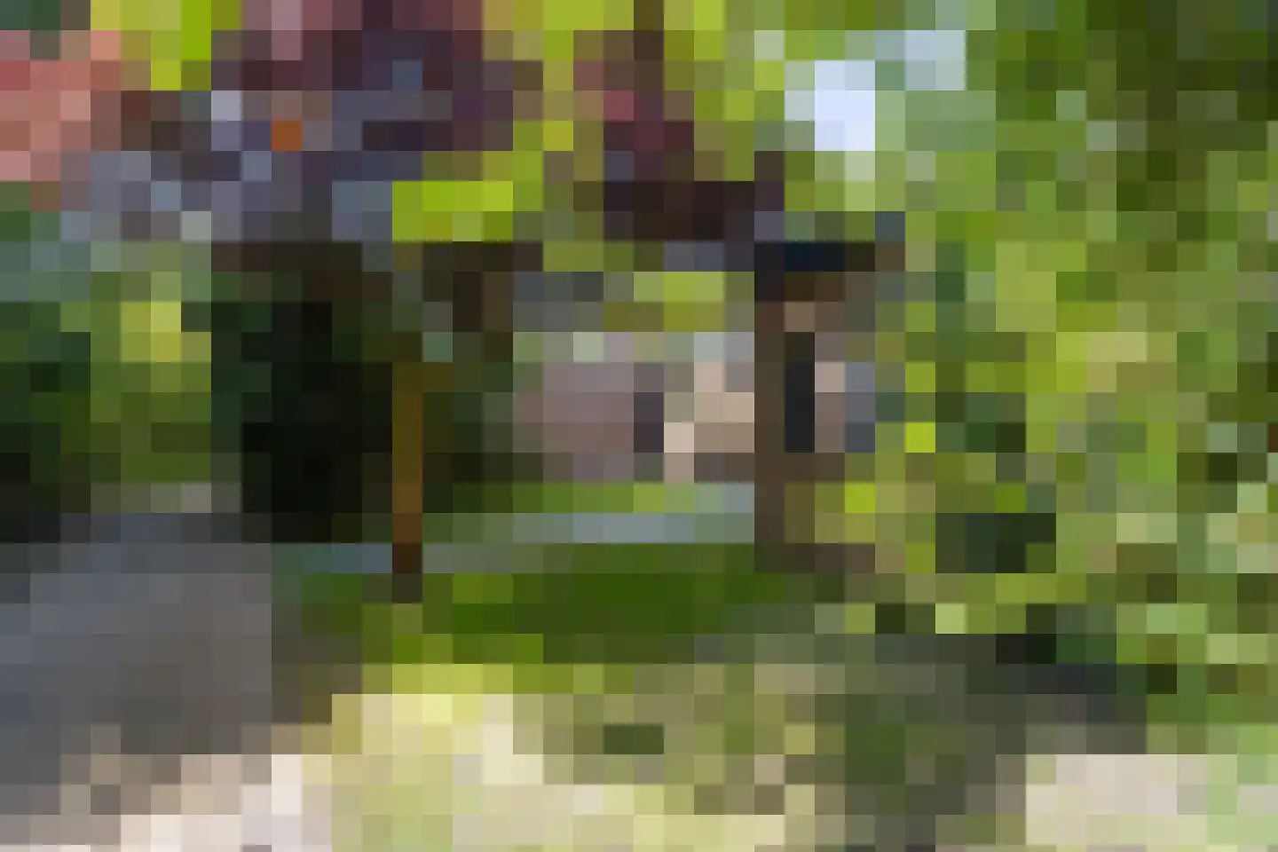 Leemkoelen 31 Emmen thumbnail 39