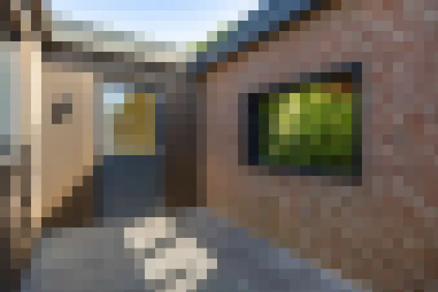 Leemkoelen 31 Emmen thumbnail 4