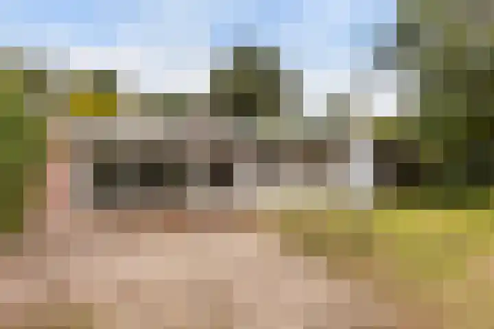 Leemkoelen 31 Emmen thumbnail 4