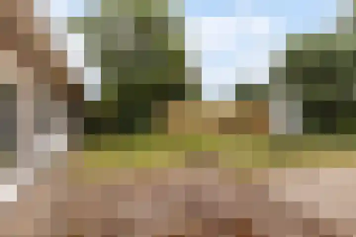 Leemkoelen 31 Emmen thumbnail 5