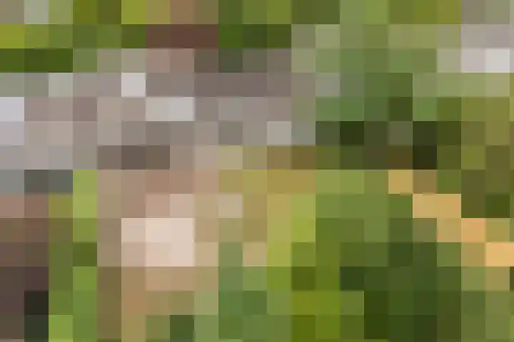 Leemkoelen 31 Emmen thumbnail 6