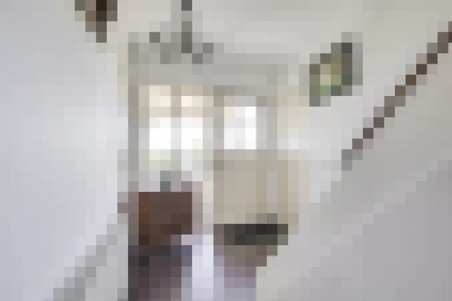 Leemkolkweg 5 a Werkhoven thumbnail 20