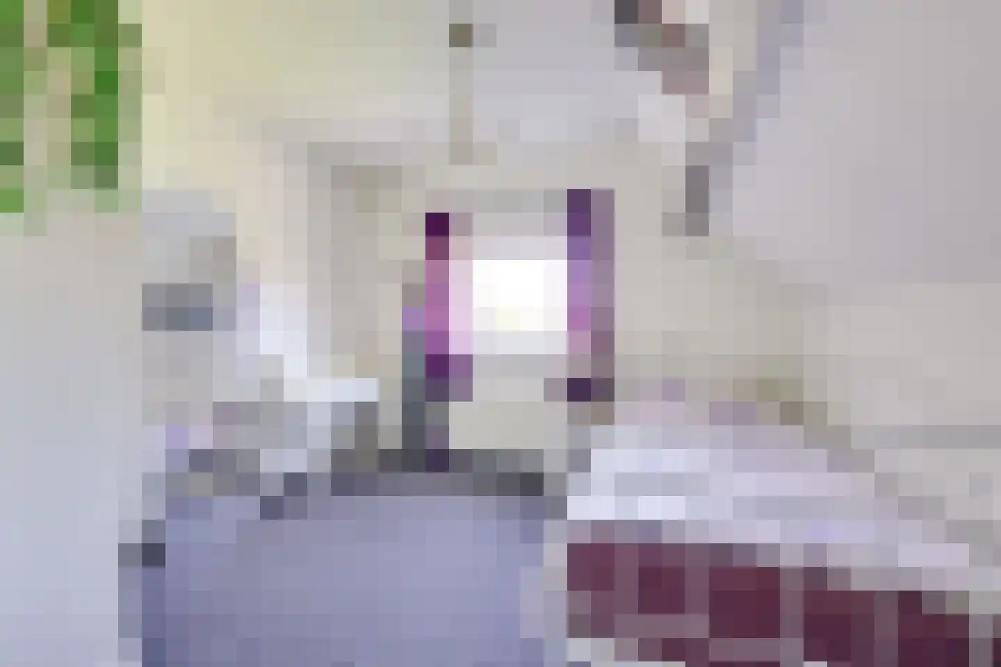 Leemkolkweg 5 a Werkhoven thumbnail 26