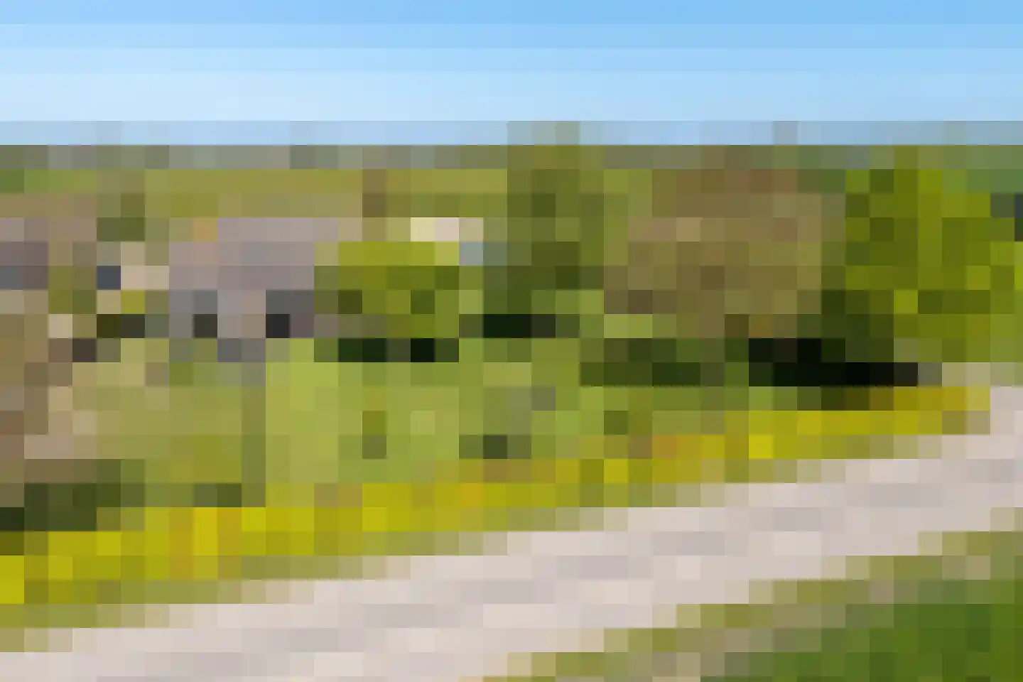 Leemkolkweg 5 a Werkhoven foto 3