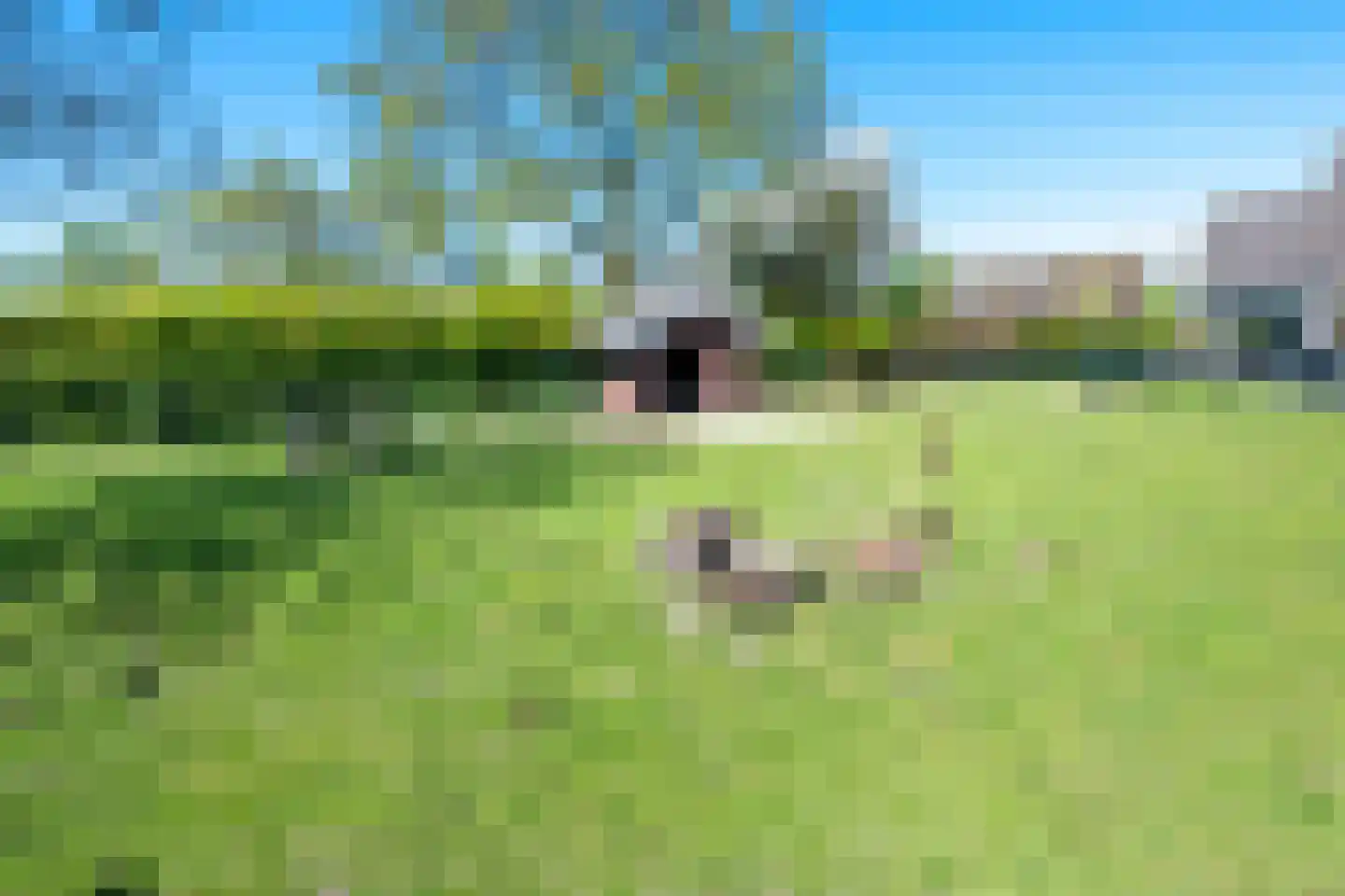 Leemkolkweg 5 a Werkhoven thumbnail 41