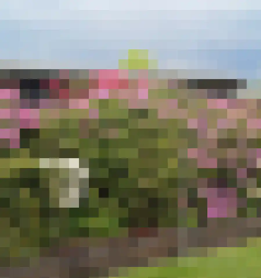 Leemkolkweg 5 a Werkhoven thumbnail 47