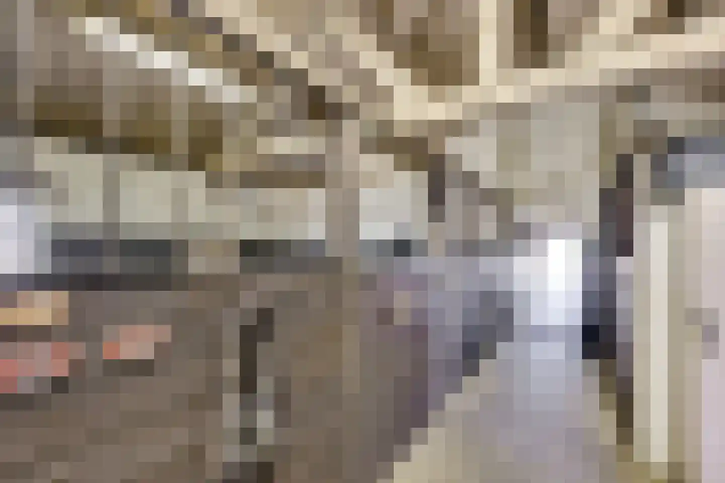 Leemkolkweg 5 a Werkhoven thumbnail 53