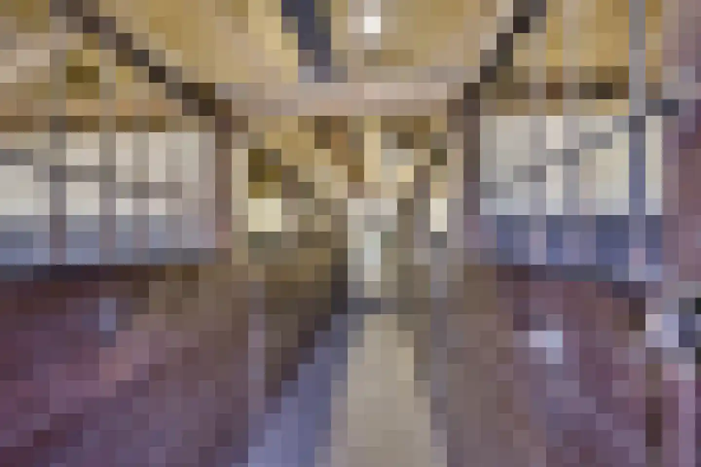 Leemkolkweg 5 a Werkhoven thumbnail 55