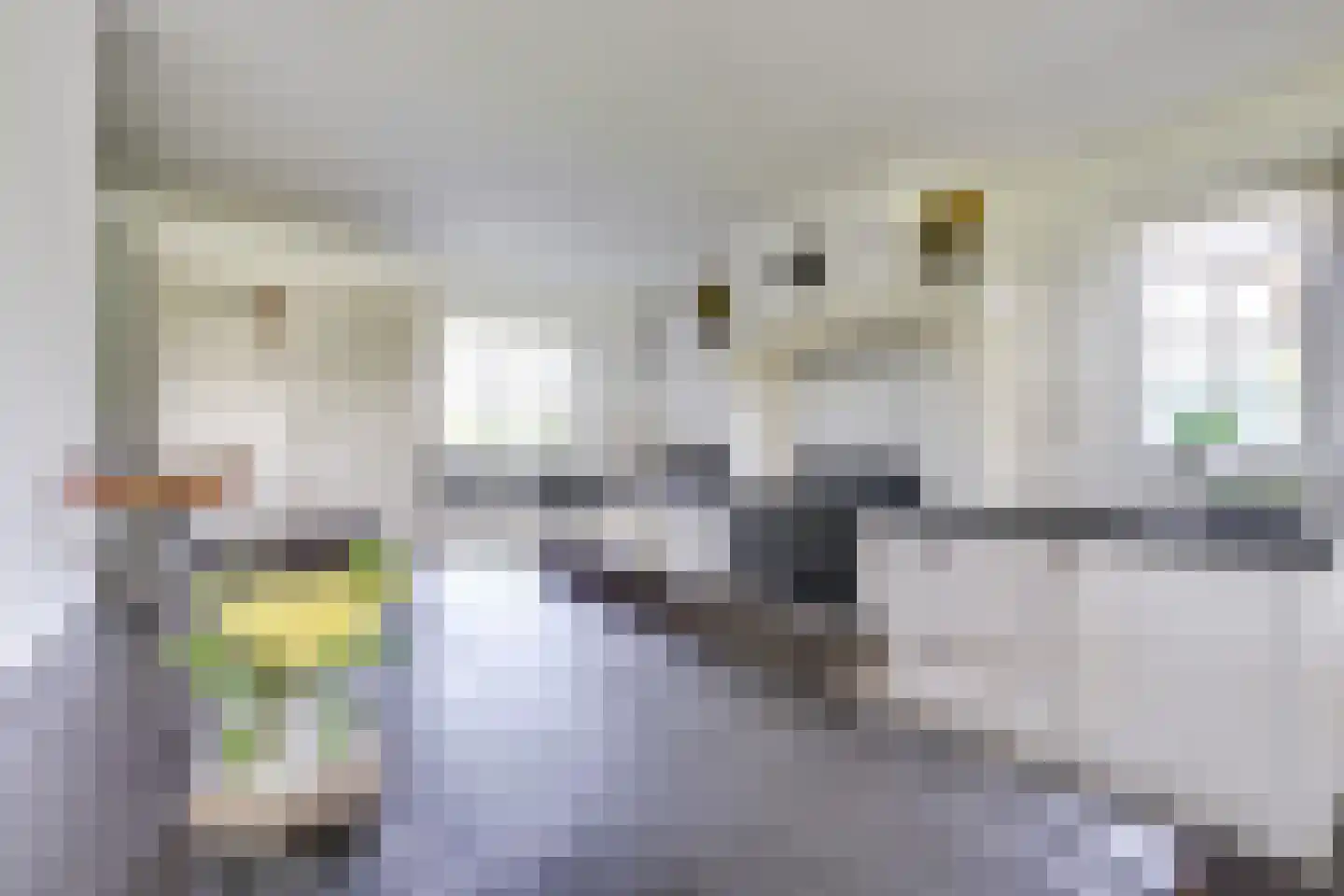 Leemkolkweg 5 a Werkhoven thumbnail 8