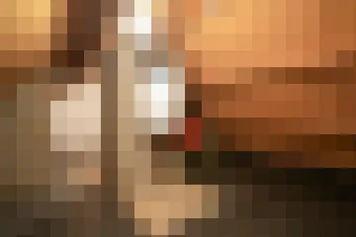 Leemkuil 9 Munstergeleen thumbnail 24