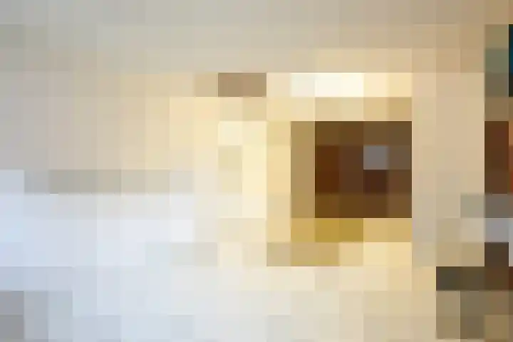 Leemkuil 9 Munstergeleen thumbnail 27