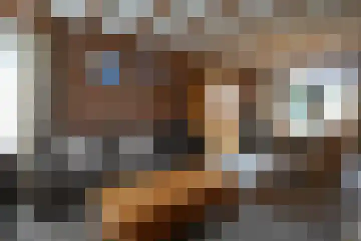 Leemkuil 9 Munstergeleen thumbnail 6